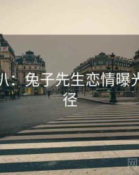 独家深扒：兔子先生恋情曝光传播路径