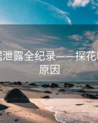 前瞻数据泄露全纪录——探花精选背后原因
