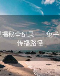 多维影视揭秘全纪录——兔子先生影视传播路径