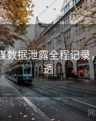 星空传媒数据泄露全程记录，带你看透