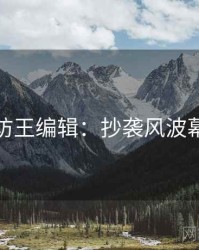 麻豆专访王编辑：抄袭风波幕后故事