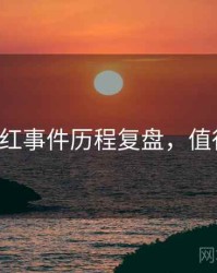 P站网红事件历程复盘，值得关注
