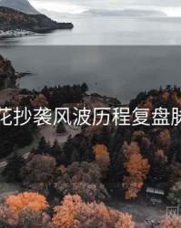 国产探花抄袭风波历程复盘脉络揭秘