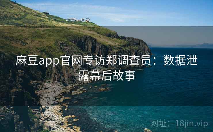 麻豆app官网专访郑调查员：数据泄露幕后故事