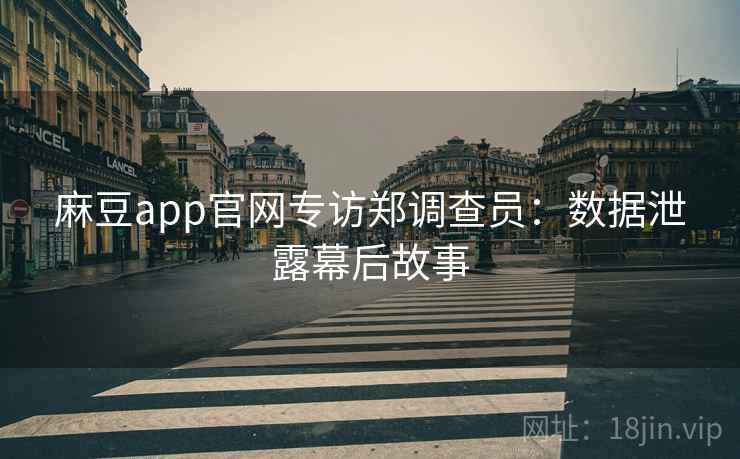 麻豆app官网专访郑调查员：数据泄露幕后故事