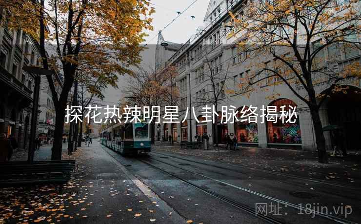 探花热辣明星八卦脉络揭秘
