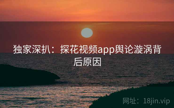 独家深扒：探花视频app舆论漩涡背后原因