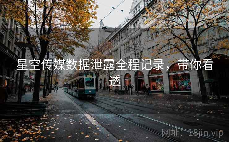 星空传媒数据泄露全程记录，带你看透