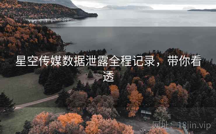 星空传媒数据泄露全程记录，带你看透