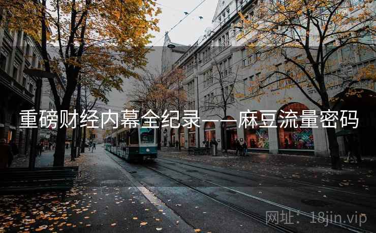 重磅财经内幕全纪录——麻豆流量密码