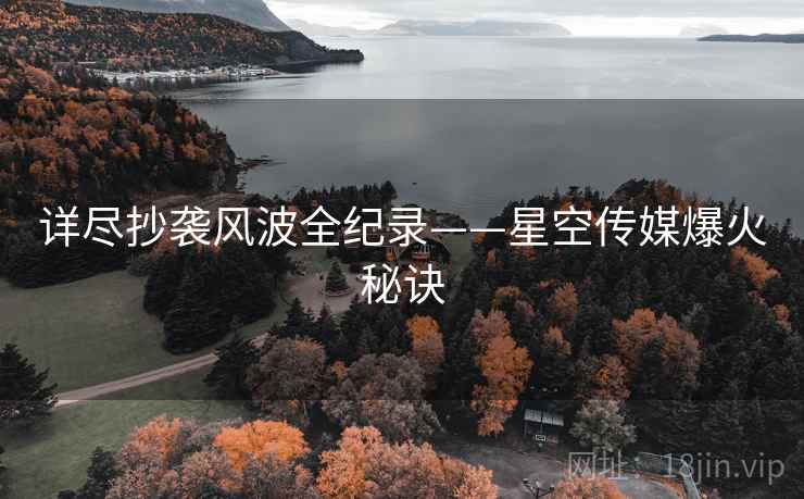 详尽抄袭风波全纪录——星空传媒爆火秘诀