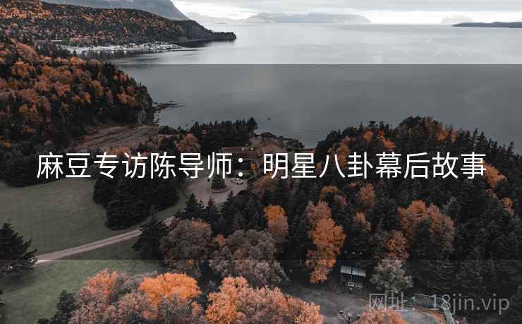 麻豆专访陈导师：明星八卦幕后故事