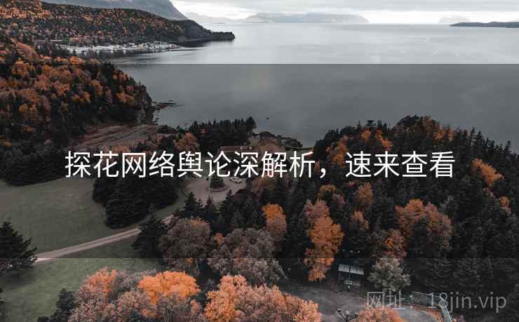 探花网络舆论深解析，速来查看