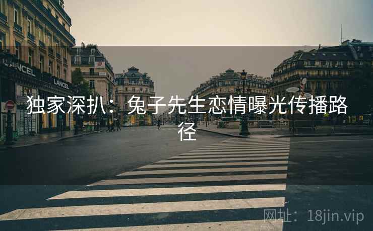 独家深扒：兔子先生恋情曝光传播路径