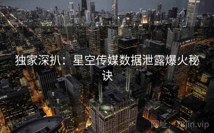 独家深扒：星空传媒数据泄露爆火秘诀