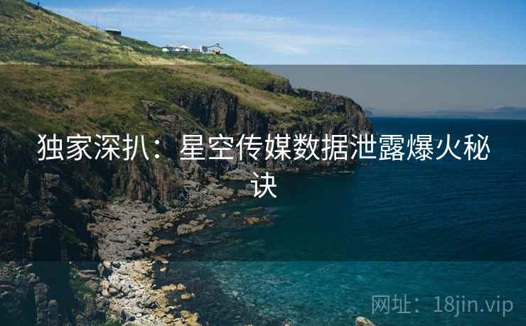 独家深扒：星空传媒数据泄露爆火秘诀